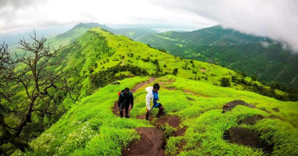 Best One-Day and Easy Treks Near Mumbai
