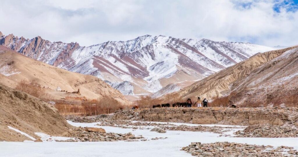 Treks in Ladakh