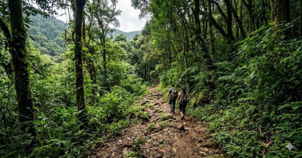 Tadiandamol Trek 