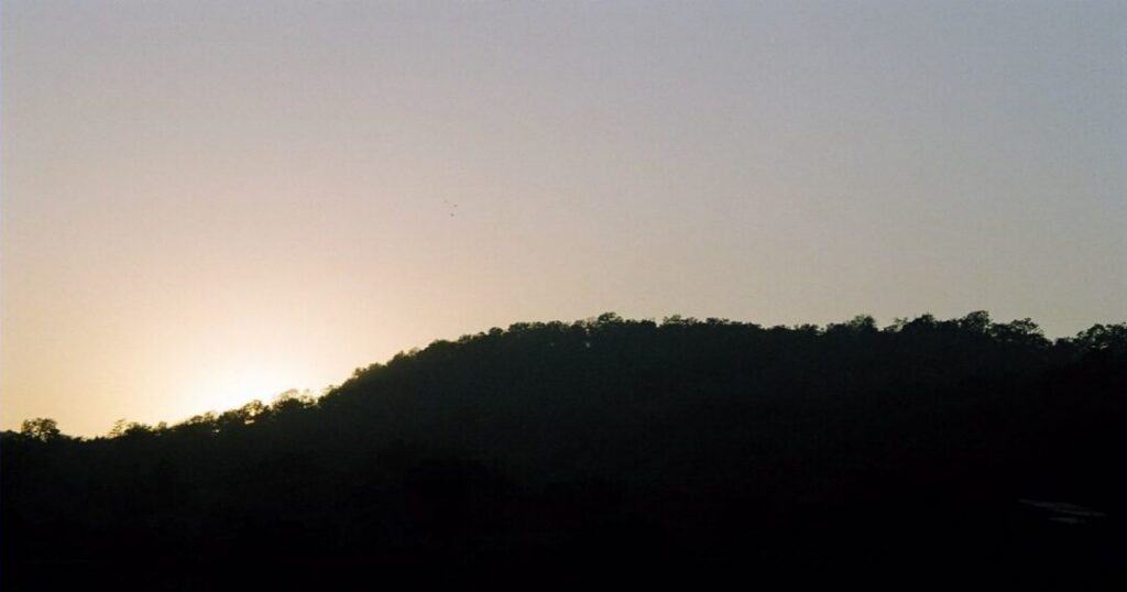 Best Time to Visit Jim Corbett