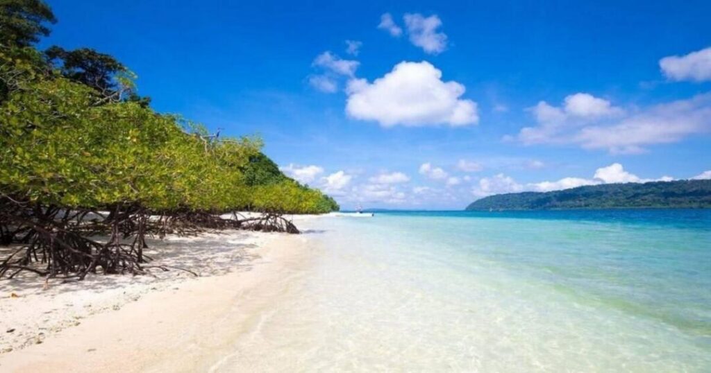 Things to Do in Havelock
