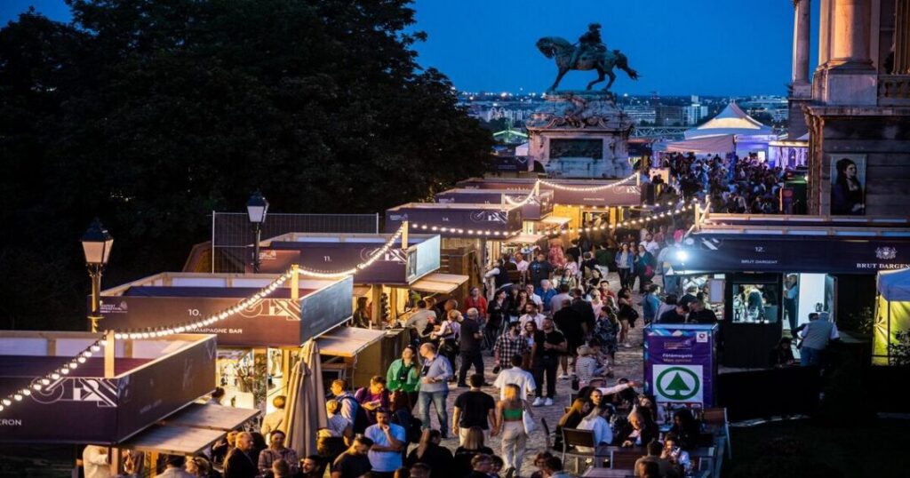 Budapest Wine Festival: Three Decades at Buda Castle