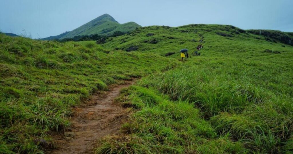 Chembra Peak: What's Actually Open Right Now