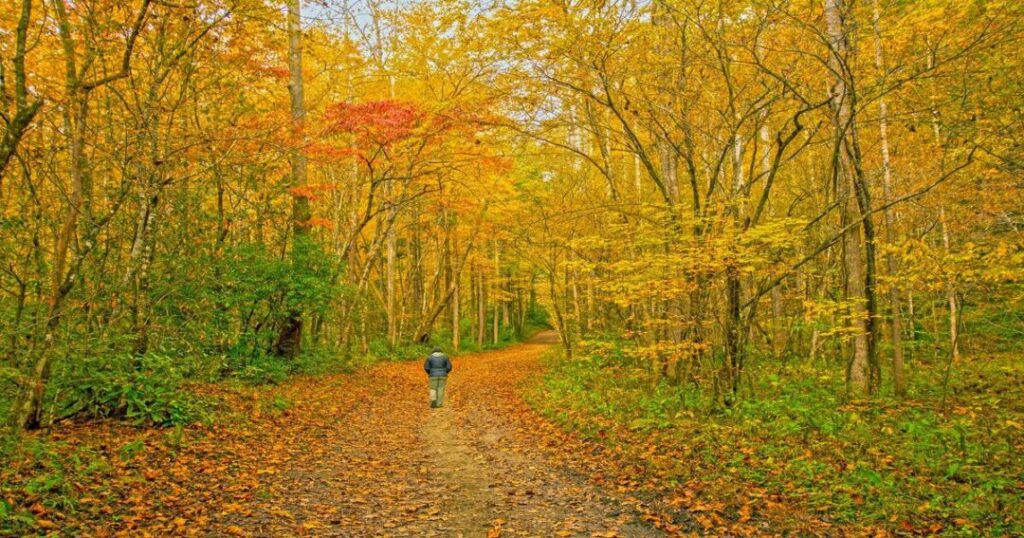 Autumn Destination