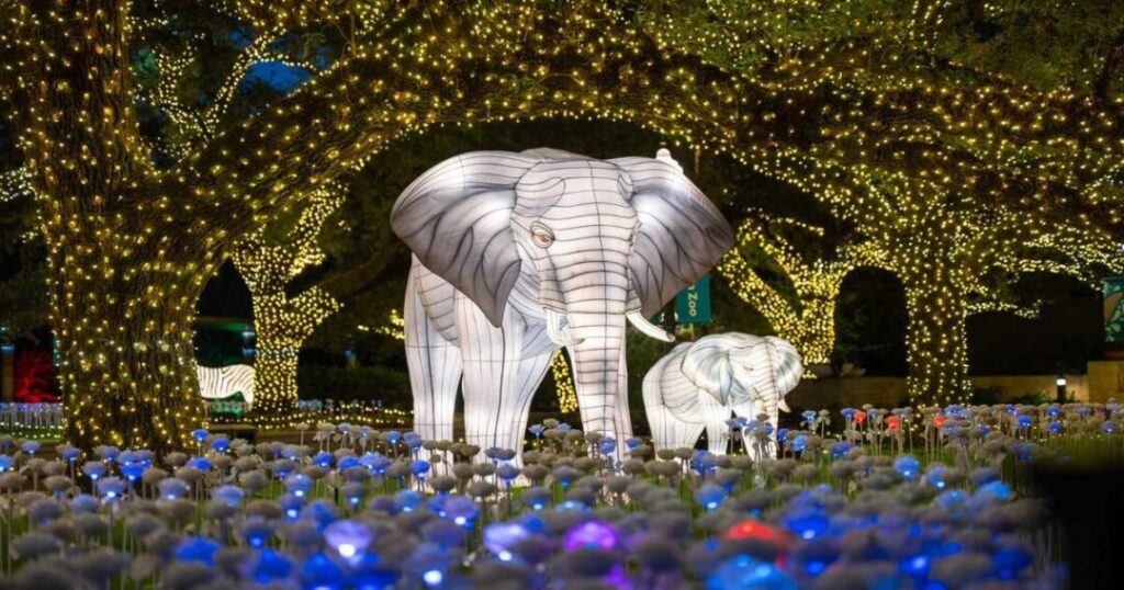 Houston Zoo Lights