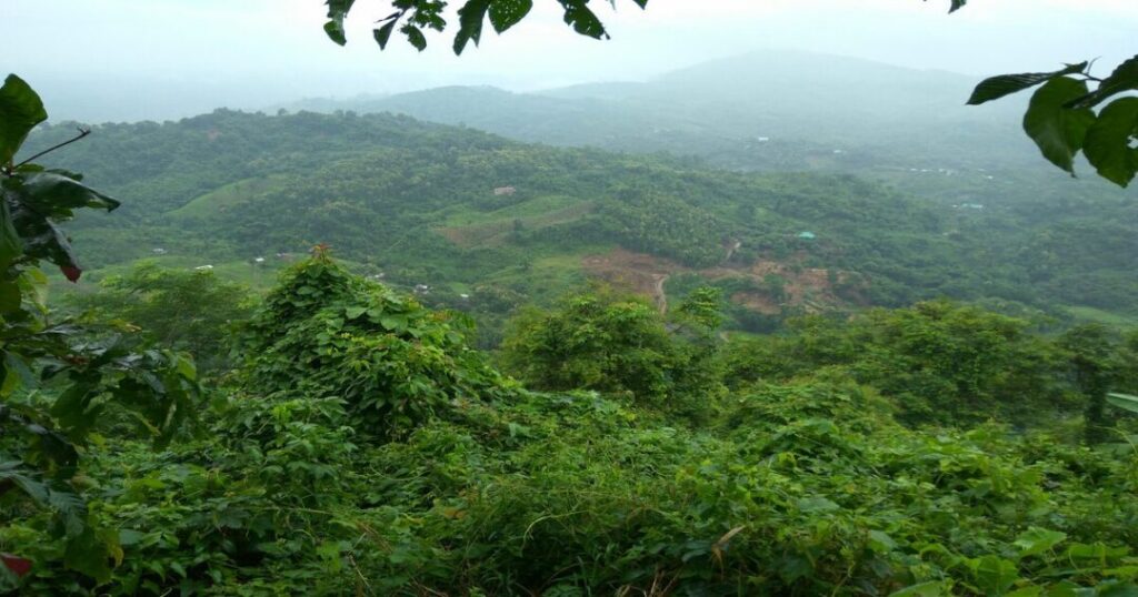 Jampui Hills: Tripura