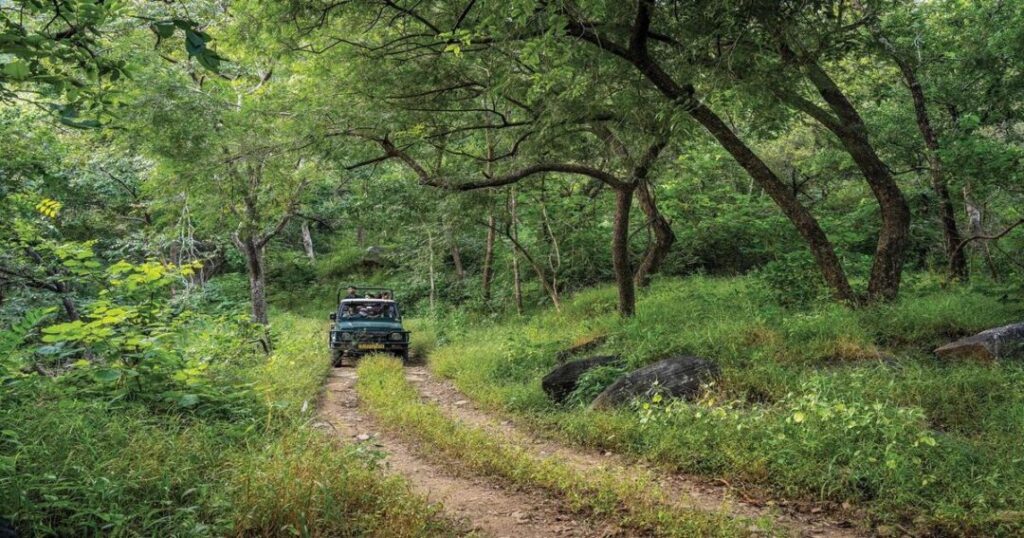 Kumbhalgarh Wildlife Sanctuary