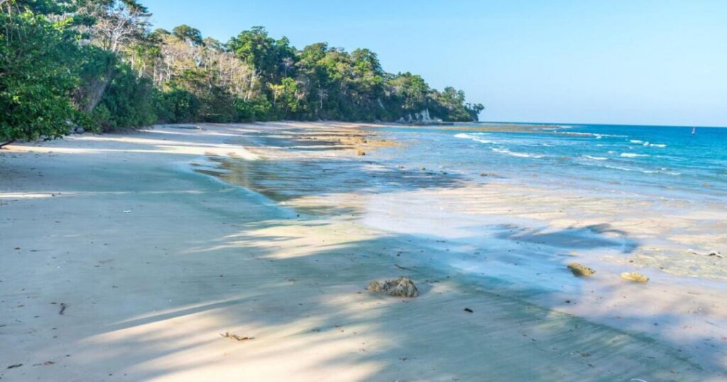 More Things to Do in Havelock