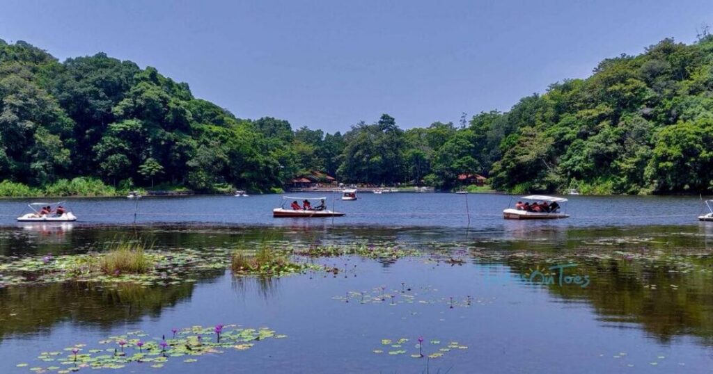Relax at Pookode Lake
