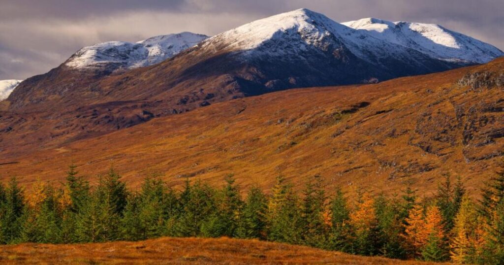 Scottish Highlands: Autumn Color Paired With the Deer Rut