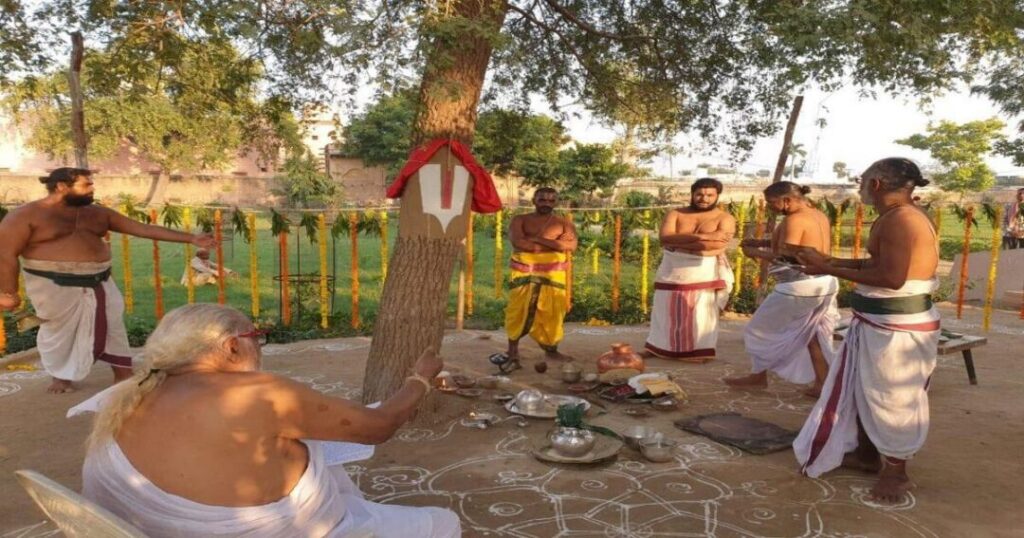 Shami Tree Worship and Ayudha Puja