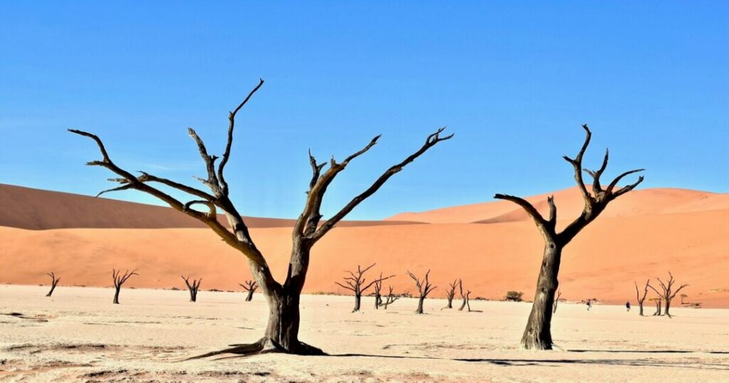 Namibia: Sossusvlei and Deadvlei