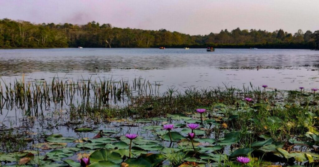 Spot Wildlife at Sepahijala and Clouded Leopard National Park