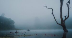 Wayanad Tourist Places