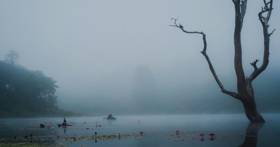 Wayanad Tourist Places