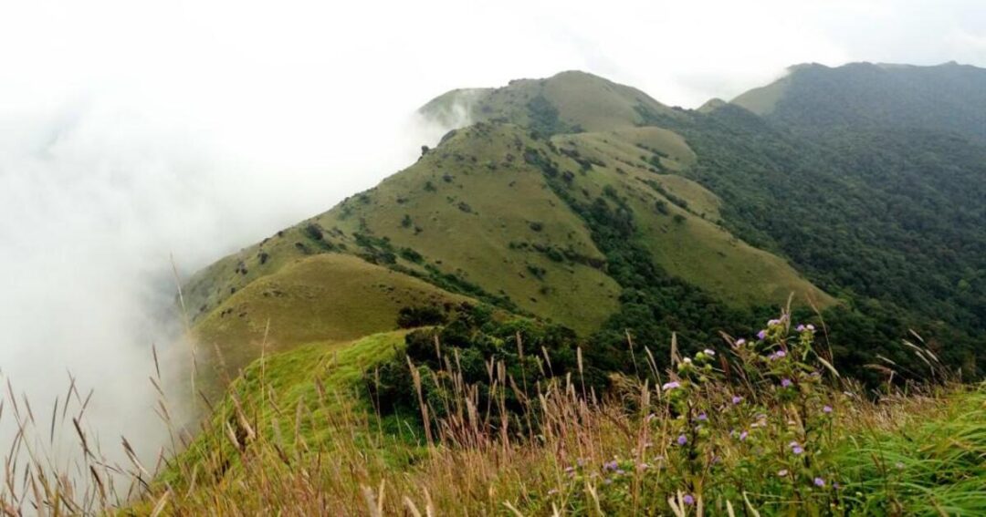 Tadiandamol Trek: Complete Guide to Coorg’s Highest Peak