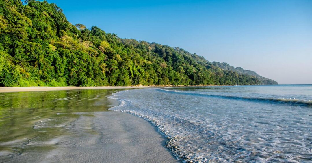 Things to Do in Havelock