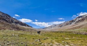Treks in Ladakh