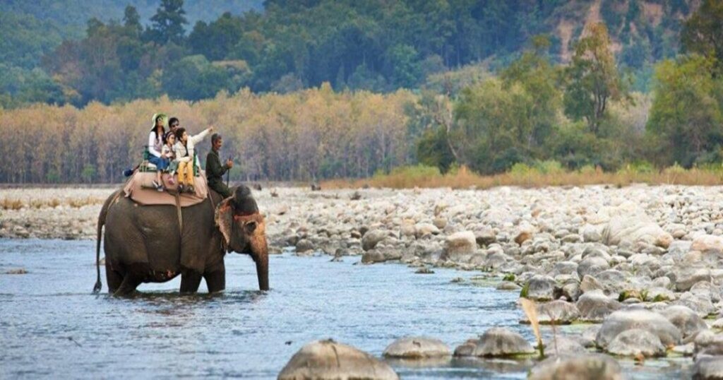 Elephant Safari