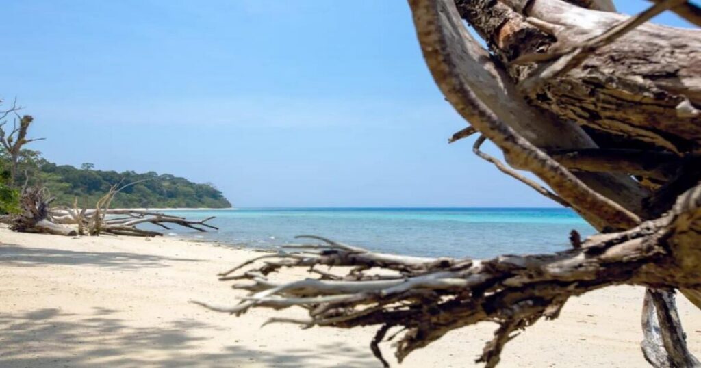 Havelock: Elephant Beach