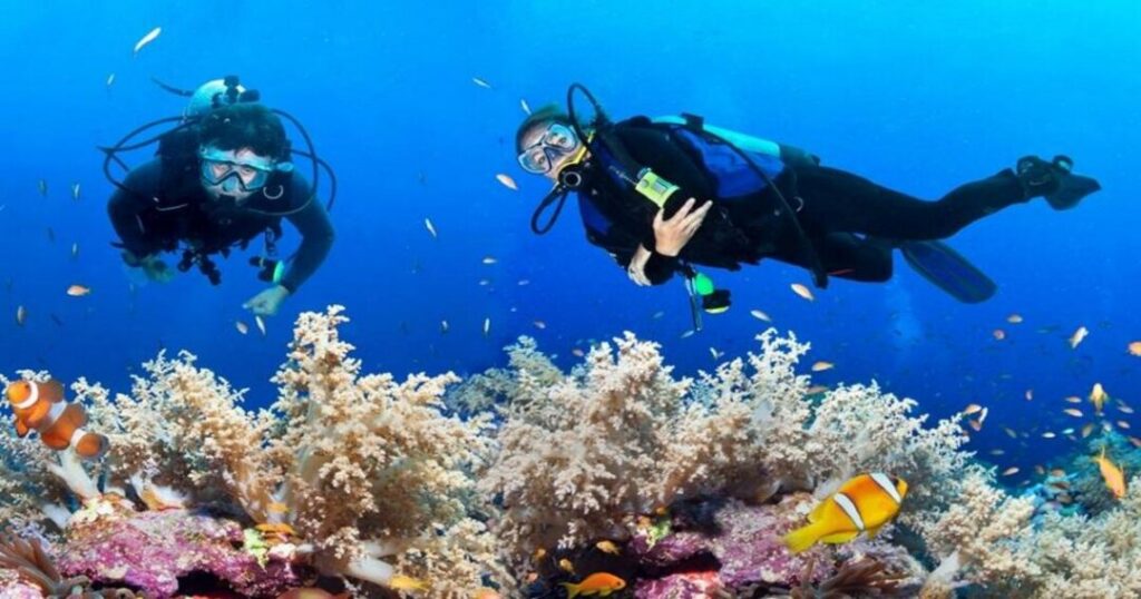 Scuba Diving in Havelock
