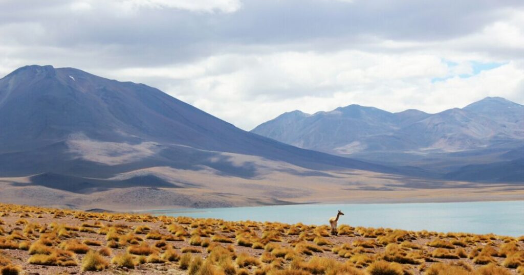 Atacama Desert
