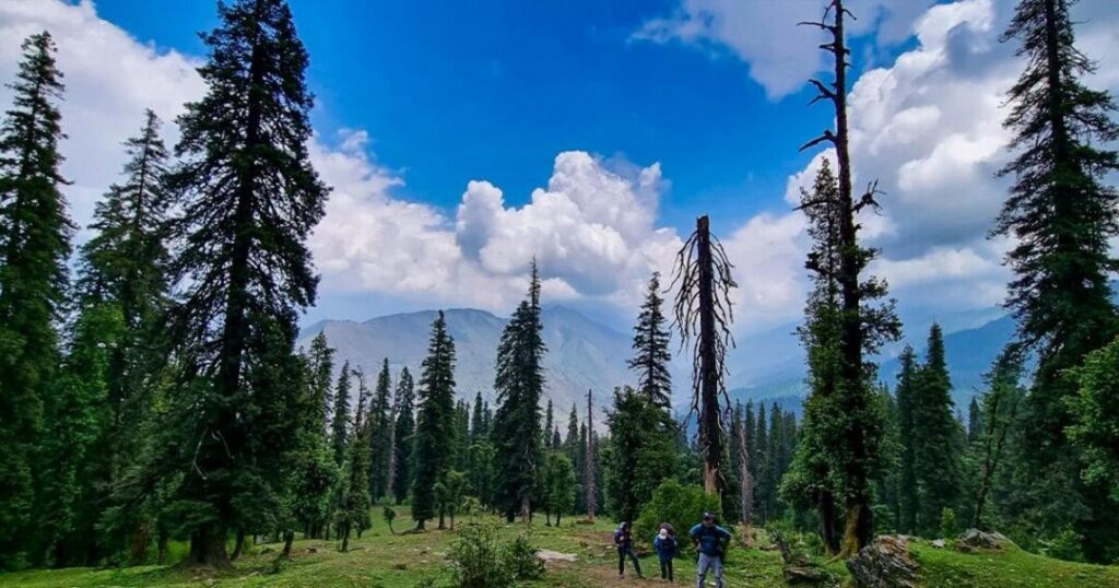 Forests, Meadows and a Village Stretch