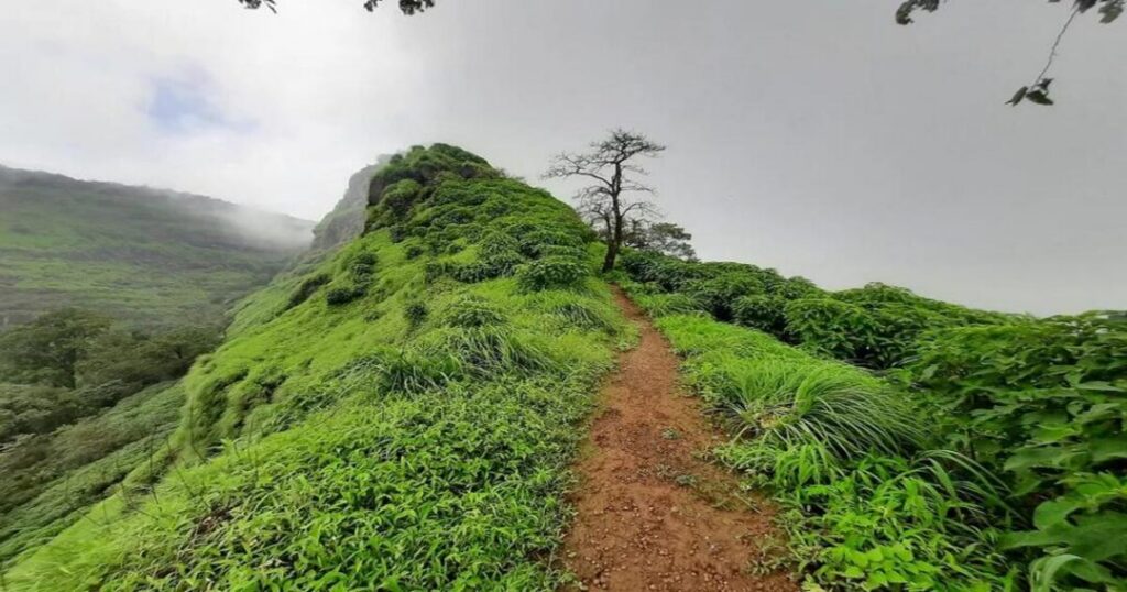 Ambewadi to One Tree Hill Point