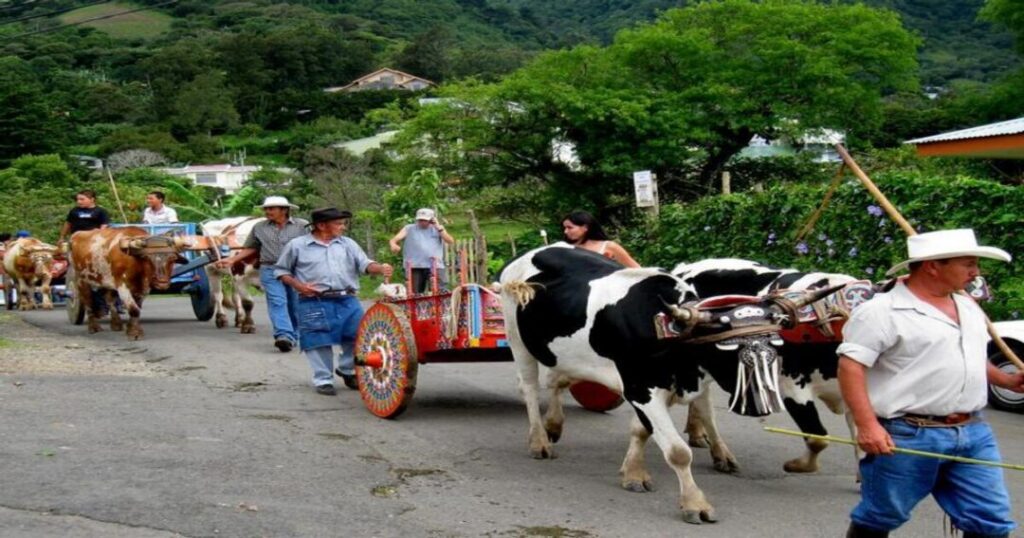 Día del Boyero (Oxcart Drivers' Day)