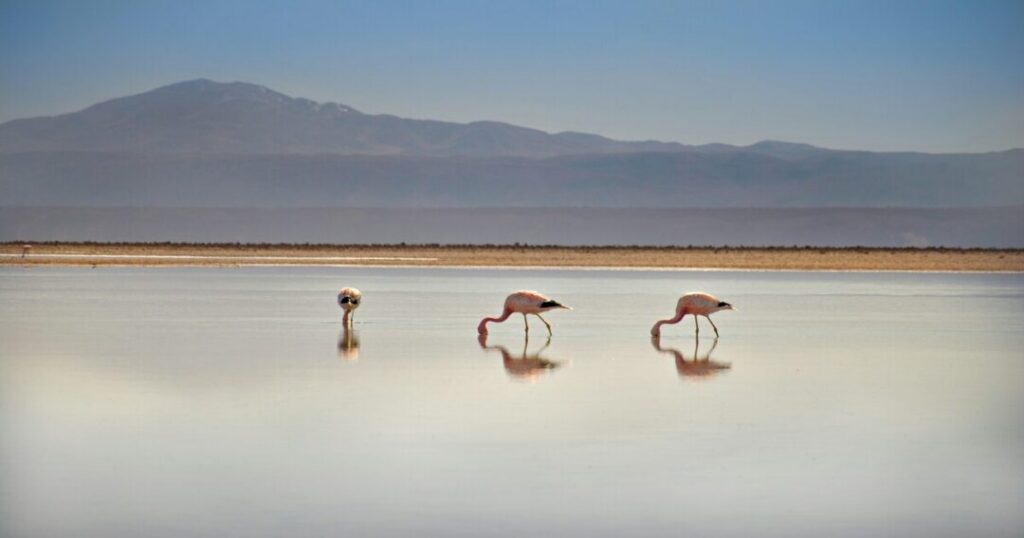 Atacama Desert