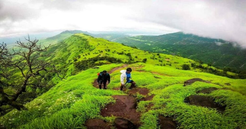 Garbett Plateau Trek