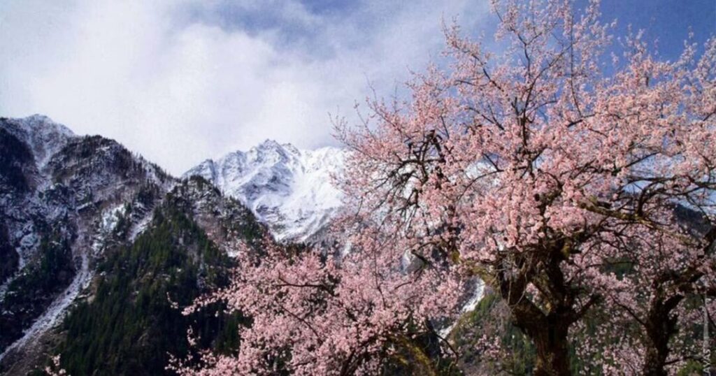 Himachal Pradesh: March and Late October to November