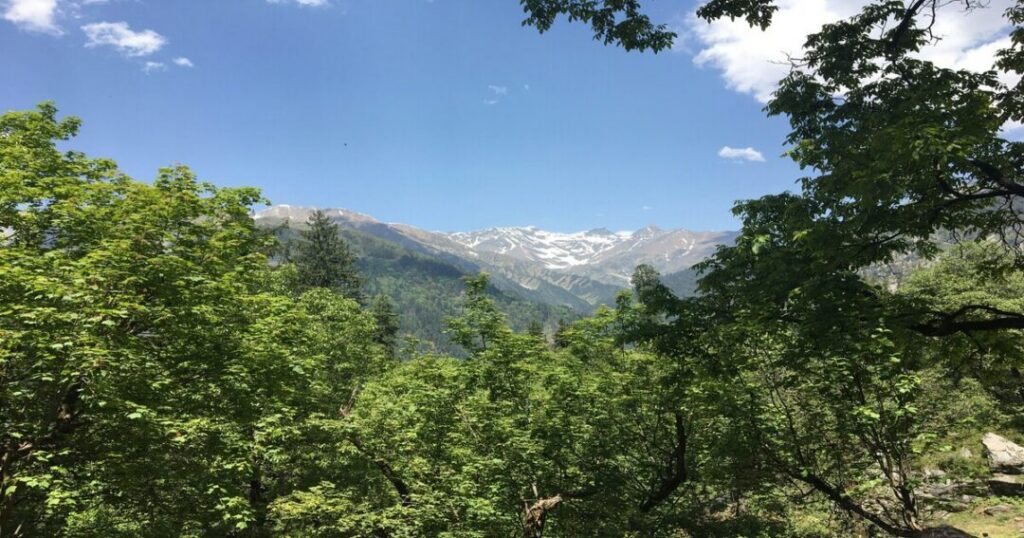 Bhoj Gadi and the Kedarkantha View