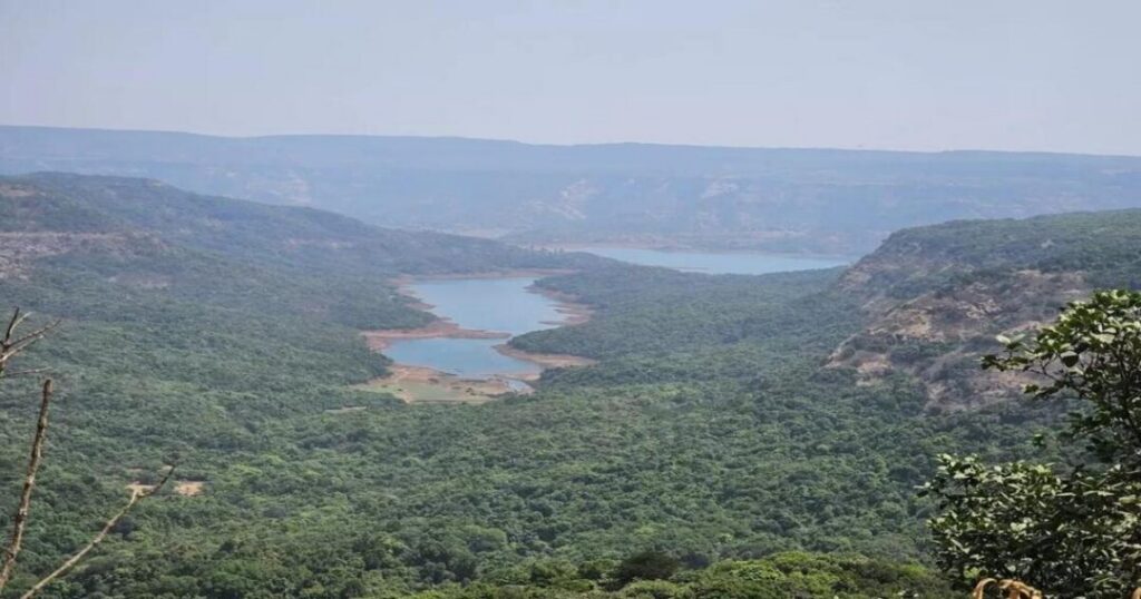  The Views and Babu Kada