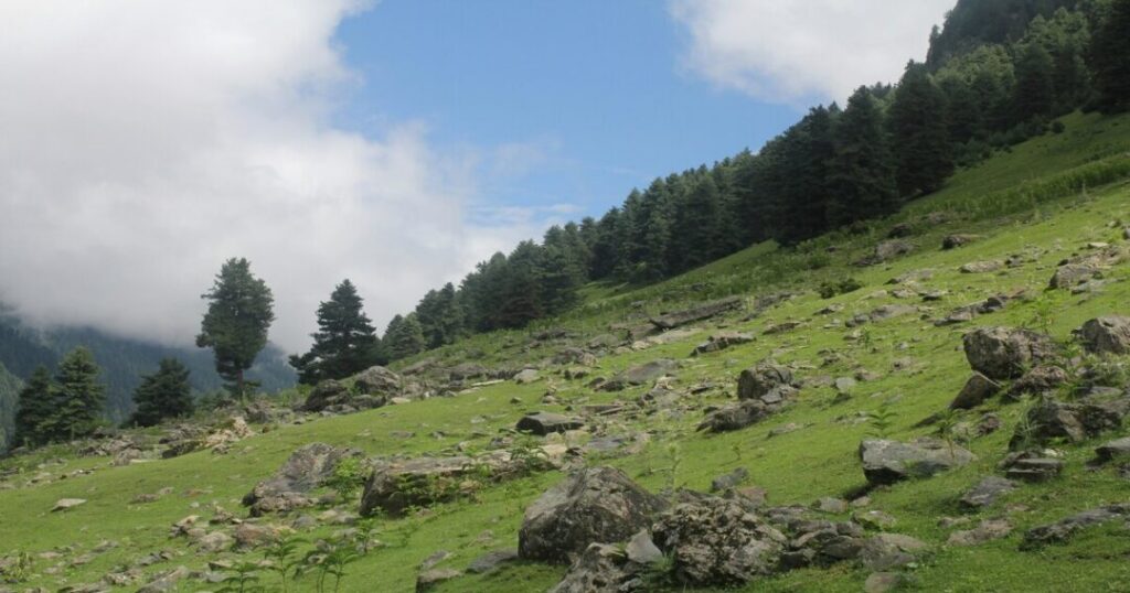  A Different Way Down to Taluka