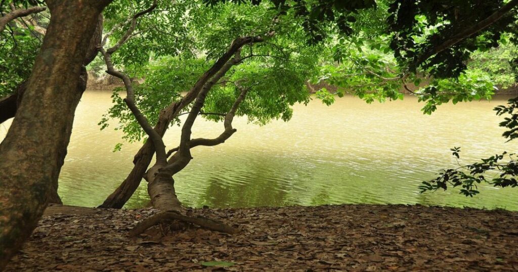 Banasura Hill