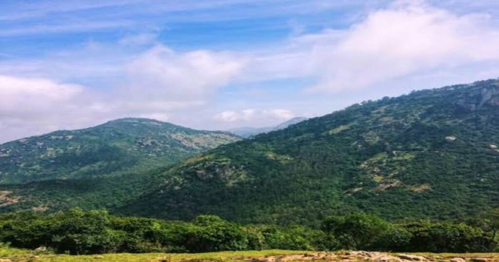 Brahmagiri Hills