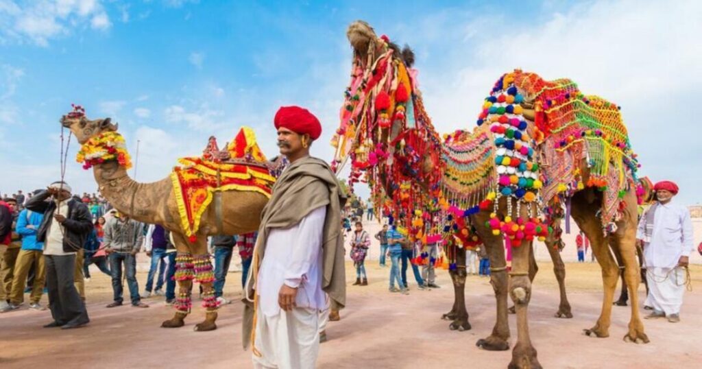 Camel Trading and the Beauty Contests