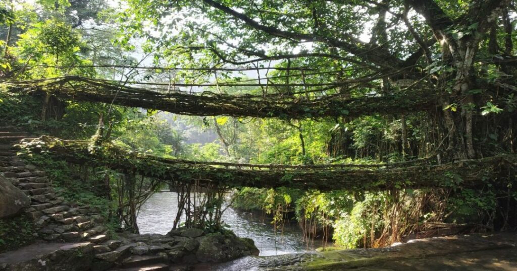  Double Decker Living Root Bridge Trek (Nongriat)