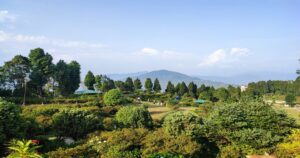Things to Do in Kalimpong