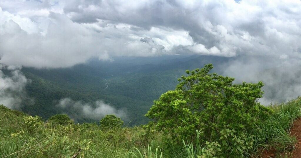 Neelimala Viewpoint