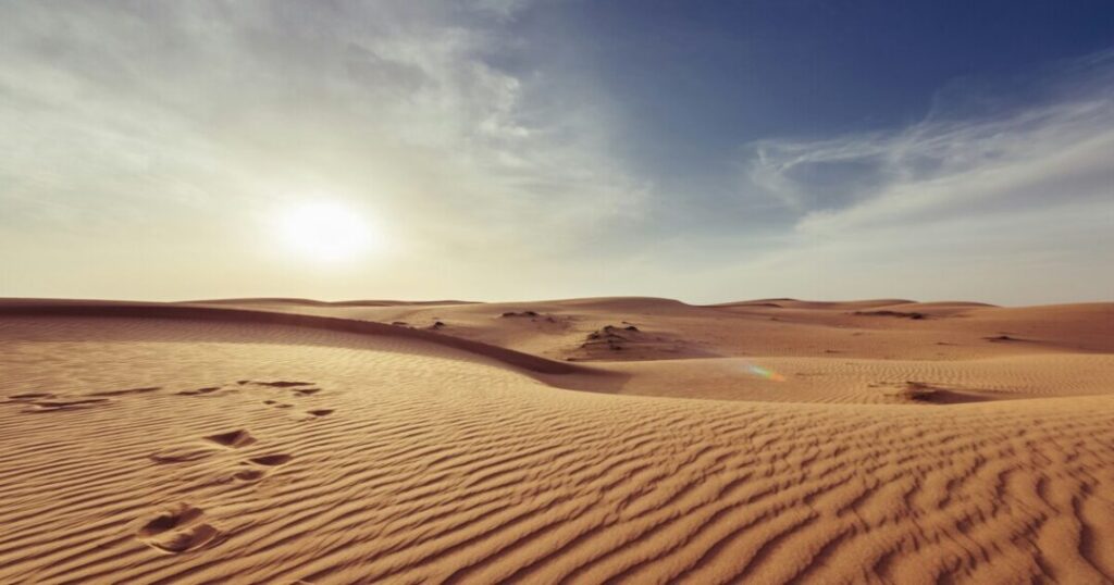 Jaisalmer-Jodhpur Itinerary: Full Desert Circuit
