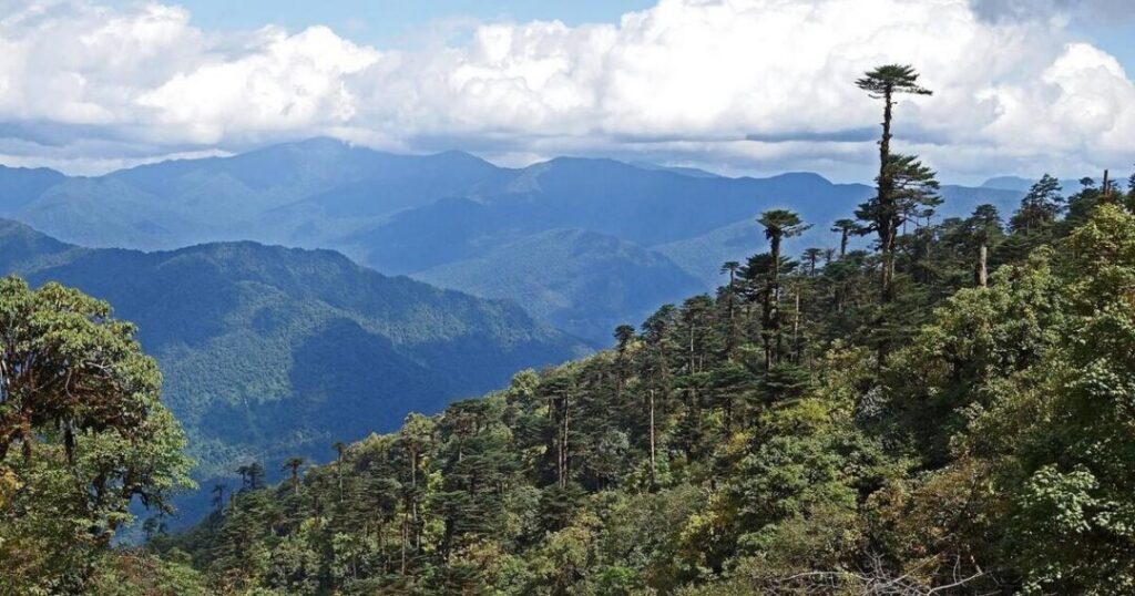 Thembang Trek (Near Bomdila)