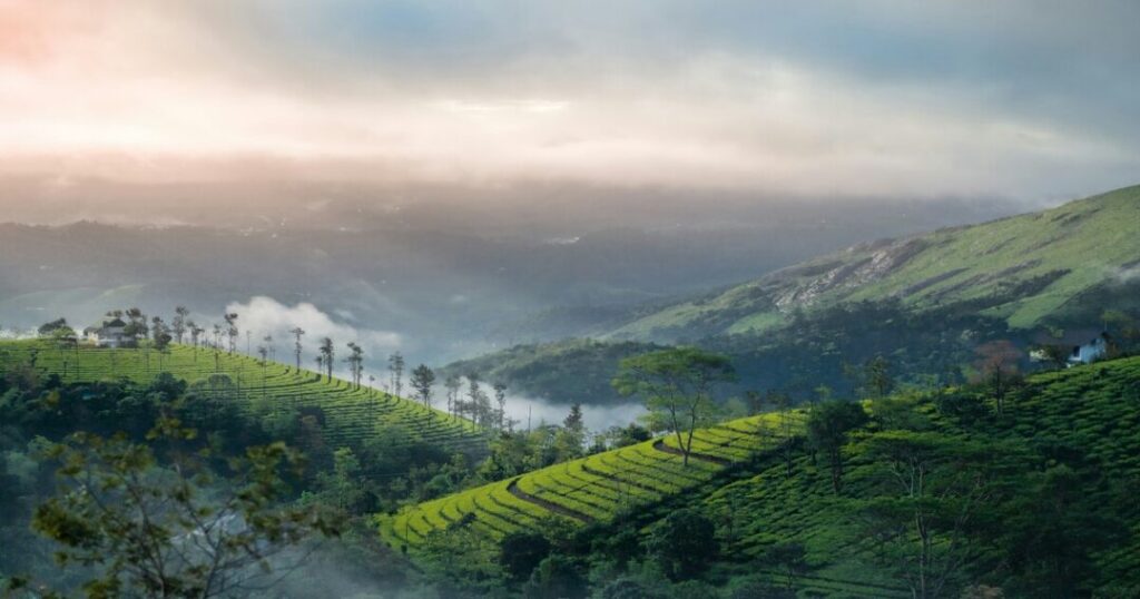 Vagamon