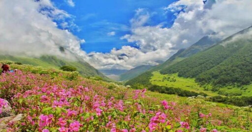 Valley of Flowers Trek