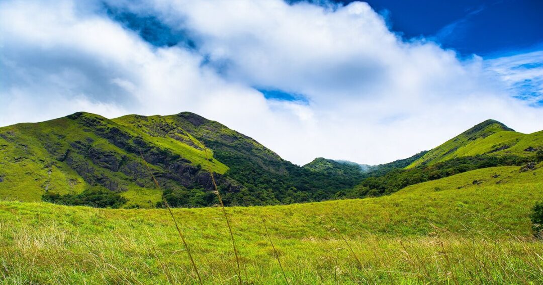 Wayanad Trek
