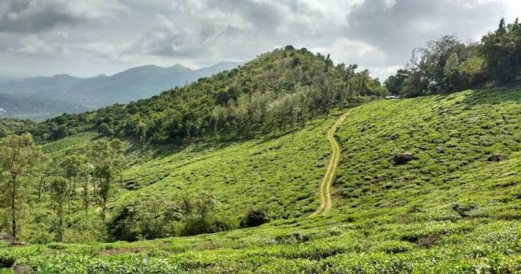 Wayanad Trek