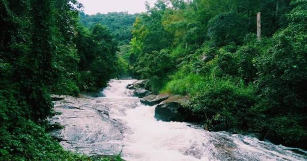 Wayanad Trek