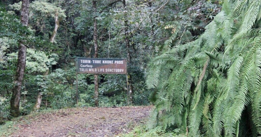 Ziro to Talley Valley Trek